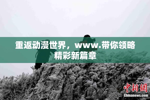 重返动漫世界，www.带你领略精彩新篇章