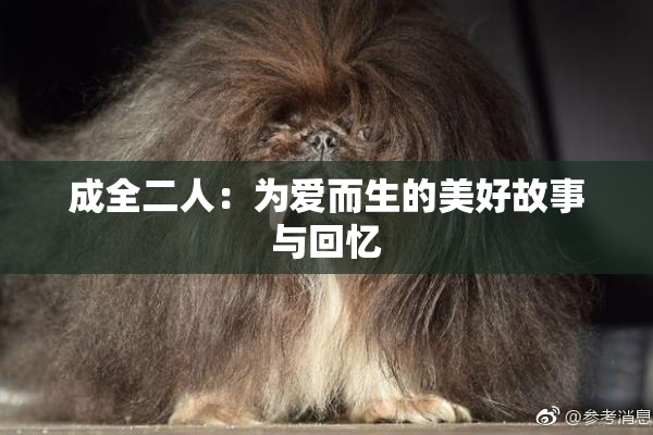 成全二人：为爱而生的美好故事与回忆
