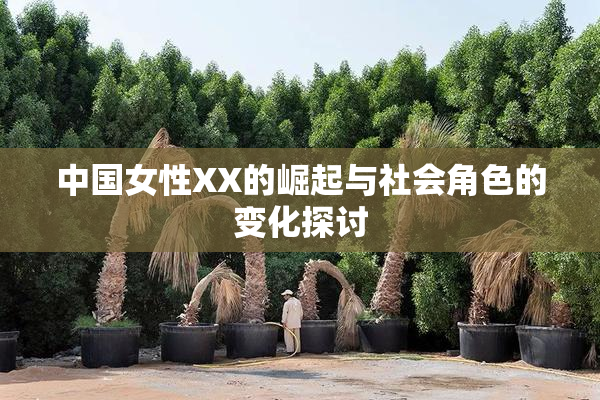 中国女性XX的崛起与社会角色的变化探讨