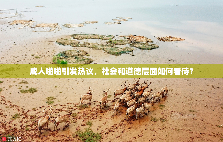 成人啪啪引发热议，社会和道德层面如何看待？