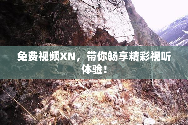 免费视频XN，带你畅享精彩视听体验！