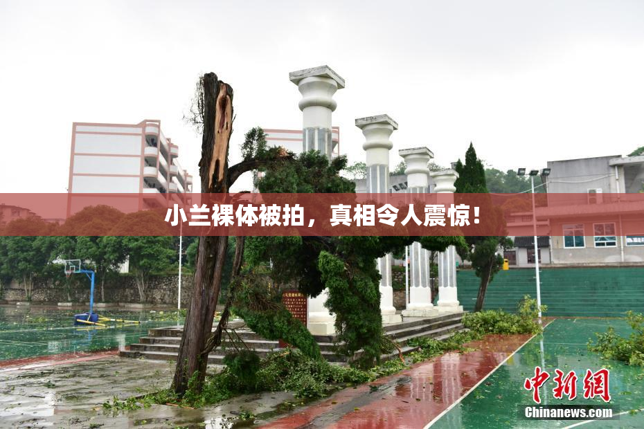 小兰裸体被拍，真相令人震惊！