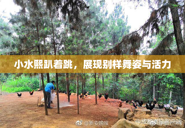小水熙趴着跳，展现别样舞姿与活力