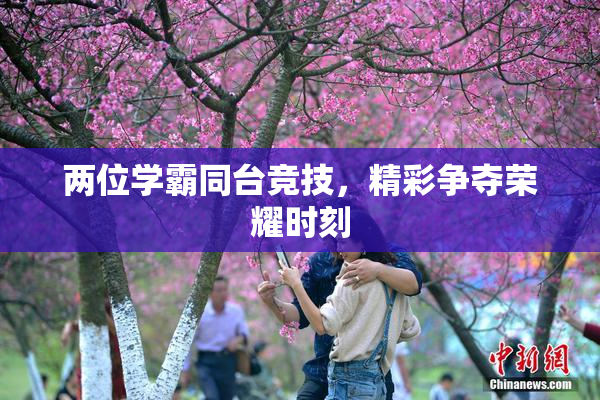 两位学霸同台竞技，精彩争夺荣耀时刻