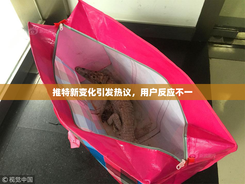 推特新变化引发热议，用户反应不一