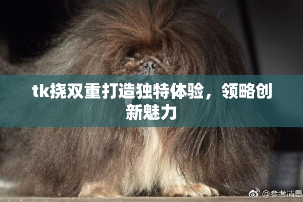 tk挠双重打造独特体验，领略创新魅力