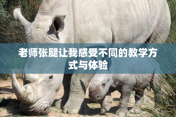 老师张腿让我感受不同的教学方式与体验
