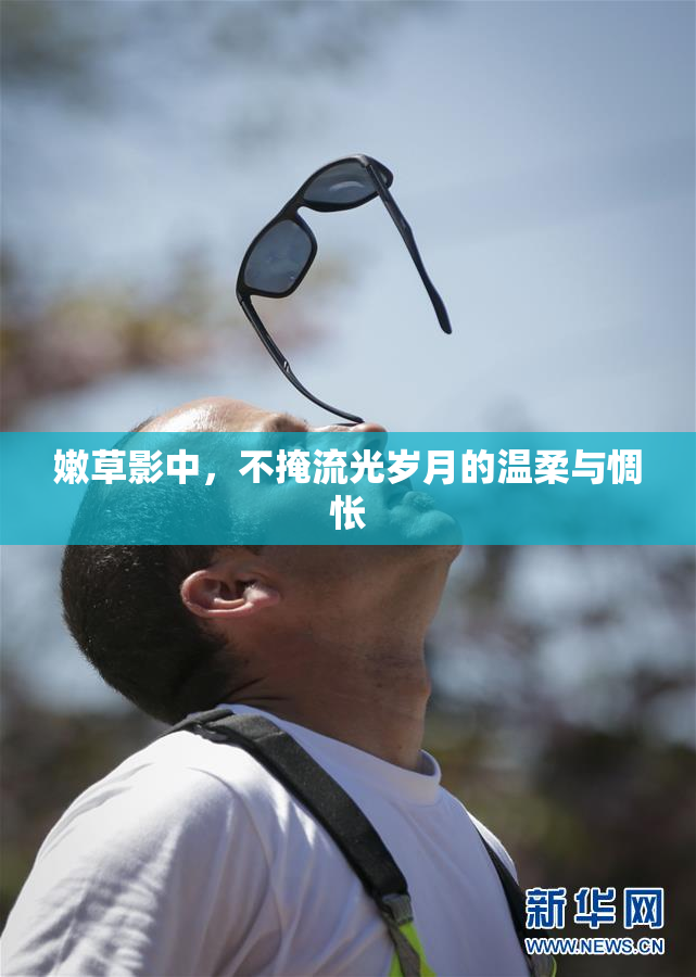 嫩草影中，不掩流光岁月的温柔与惆怅