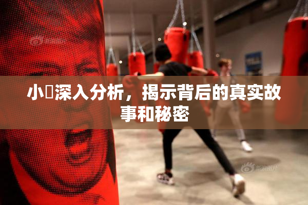 小泬深入分析，揭示背后的真实故事和秘密