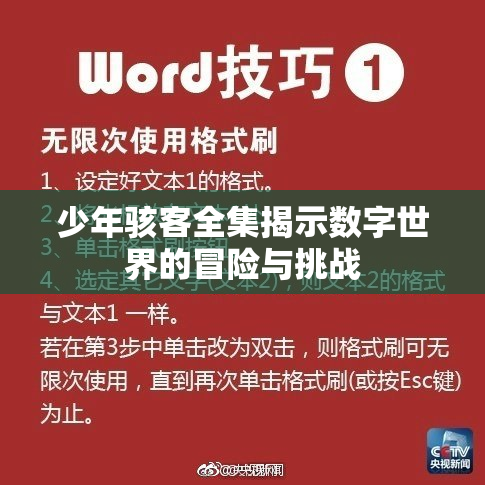 少年骇客全集揭示数字世界的冒险与挑战