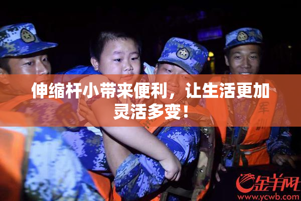 伸缩杆小带来便利，让生活更加灵活多变！