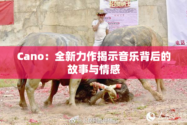 Cano：全新力作揭示音乐背后的故事与情感