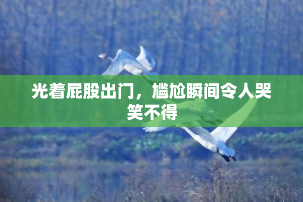 光着屁股出门，尴尬瞬间令人哭笑不得