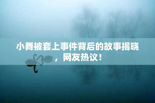 小舞被套上事件背后的故事揭晓，网友热议！