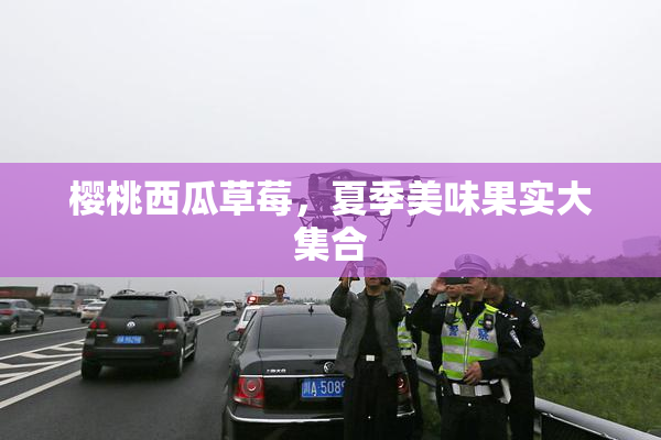 樱桃西瓜草莓，夏季美味果实大集合
