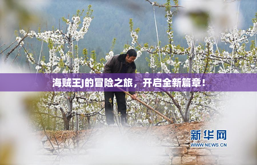 海贼王J的冒险之旅，开启全新篇章！