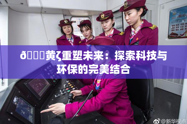 🔞黄ζ重塑未来：探索科技与环保的完美结合