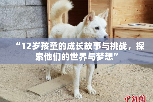 “12岁孩童的成长故事与挑战，探索他们的世界与梦想”