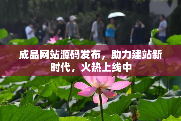 成品网站源码发布，助力建站新时代，火热上线中