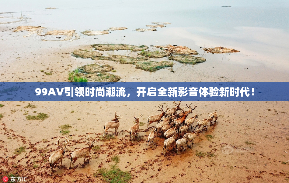 99AV引领时尚潮流，开启全新影音体验新时代！