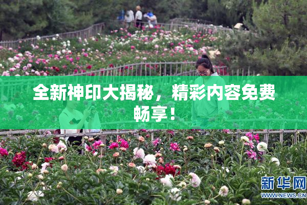 全新神印大揭秘，精彩内容免费畅享！