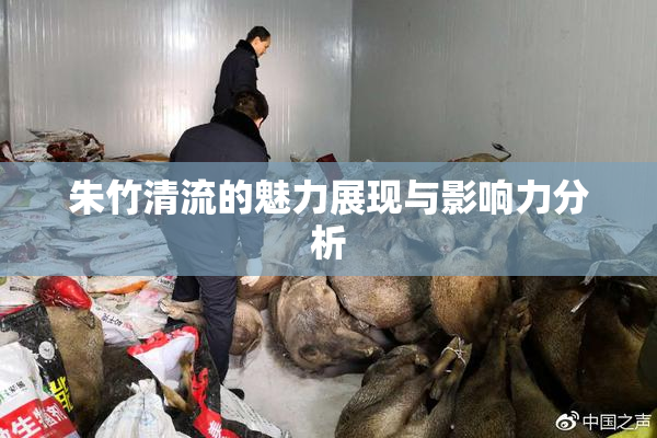 朱竹清流的魅力展现与影响力分析