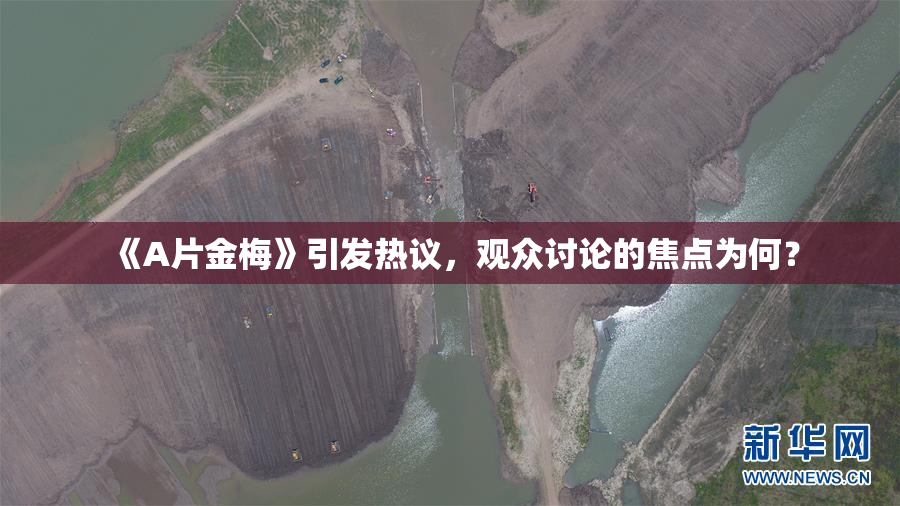 《A片金梅》引发热议，观众讨论的焦点为何？