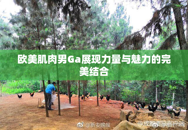 欧美肌肉男Ga展现力量与魅力的完美结合