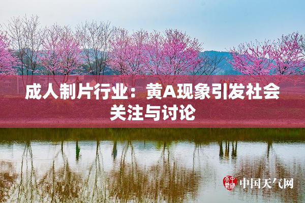 成人制片行业：黄A现象引发社会关注与讨论