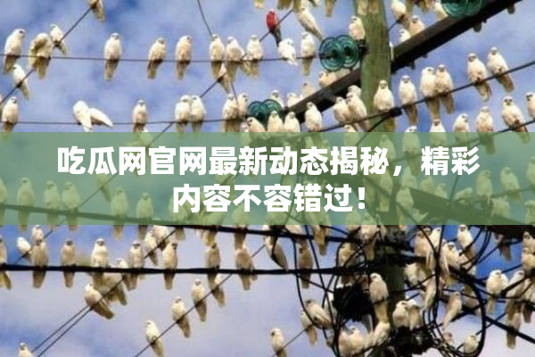 吃瓜网官网最新动态揭秘，精彩内容不容错过！
