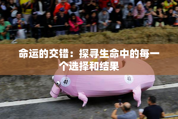 命运的交错：探寻生命中的每一个选择和结果