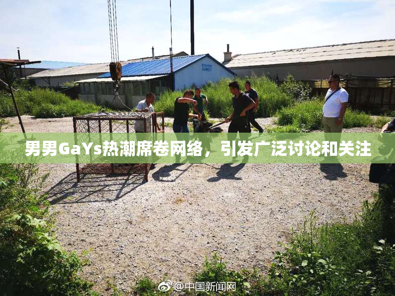 男男GaYs热潮席卷网络，引发广泛讨论和关注