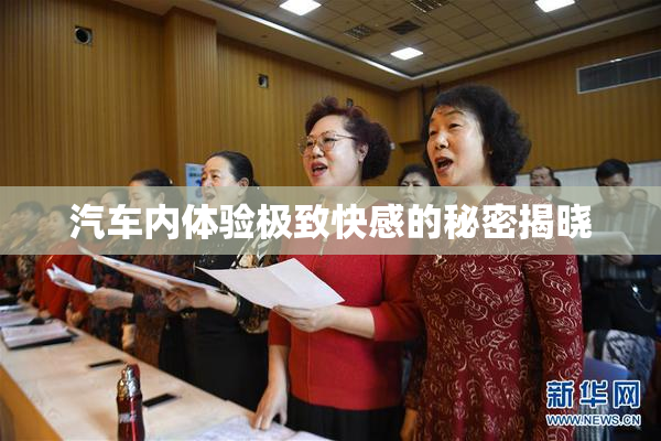 汽车内体验极致快感的秘密揭晓