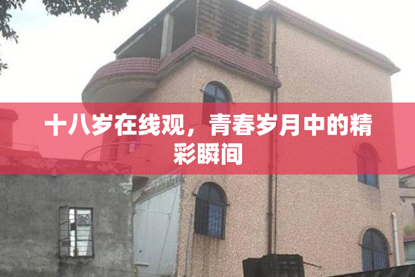 十八岁在线观，青春岁月中的精彩瞬间
