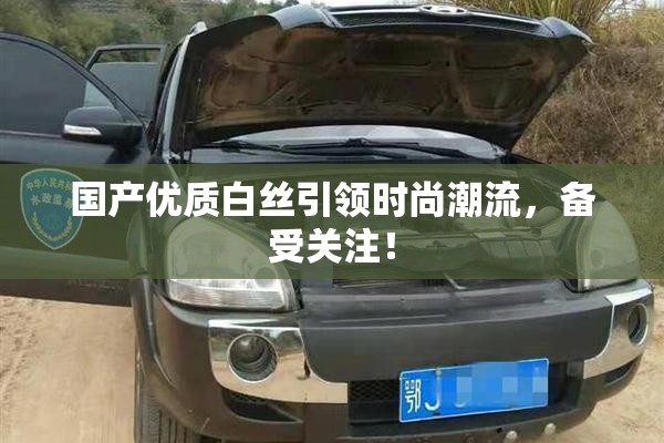 国产优质白丝引领时尚潮流，备受关注！