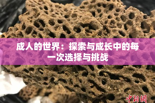 成人的世界：探索与成长中的每一次选择与挑战