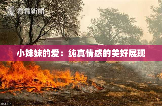 小妹妹的爱：纯真情感的美好展现