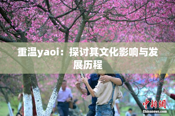 重温yaoi：探讨其文化影响与发展历程