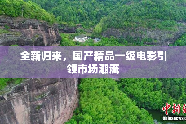 全新归来，国产精品一级电影引领市场潮流