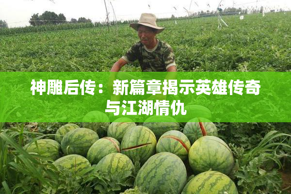 神雕后传：新篇章揭示英雄传奇与江湖情仇