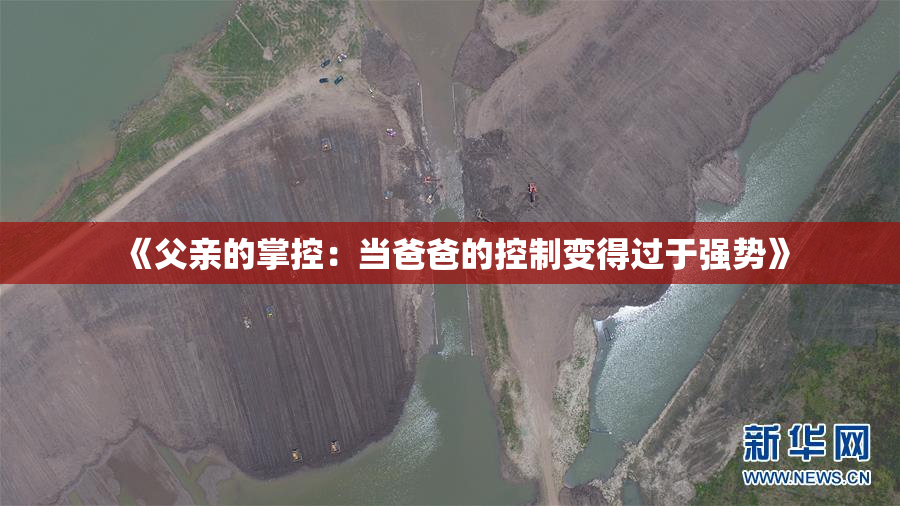 《父亲的掌控：当爸爸的控制变得过于强势》