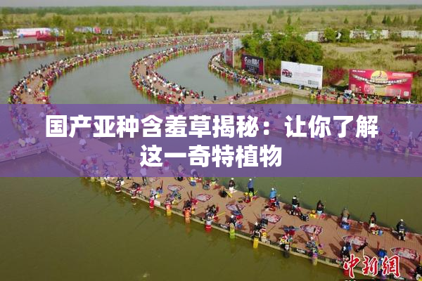 国产亚种含羞草揭秘：让你了解这一奇特植物