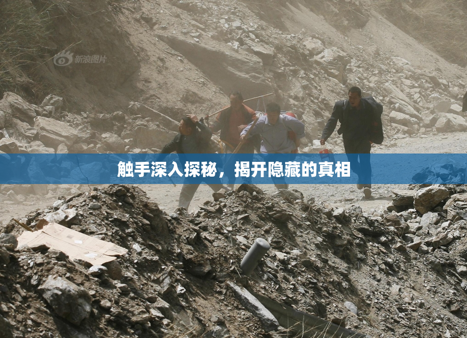 触手深入探秘，揭开隐藏的真相