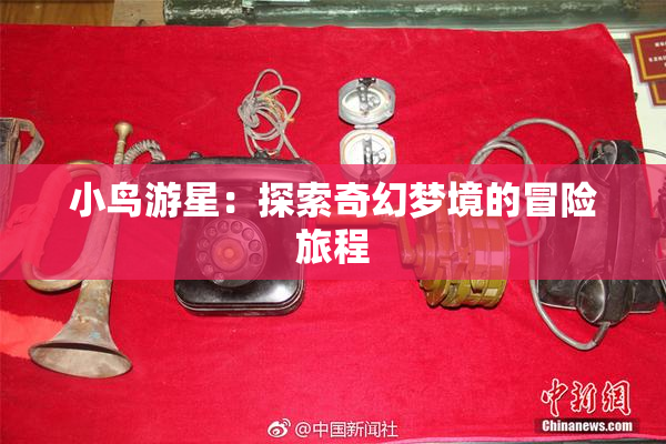 小鸟游星：探索奇幻梦境的冒险旅程