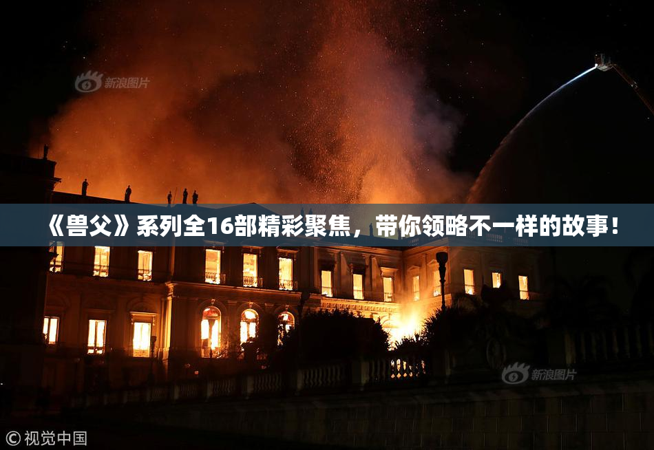 《兽父》系列全16部精彩聚焦，带你领略不一样的故事！