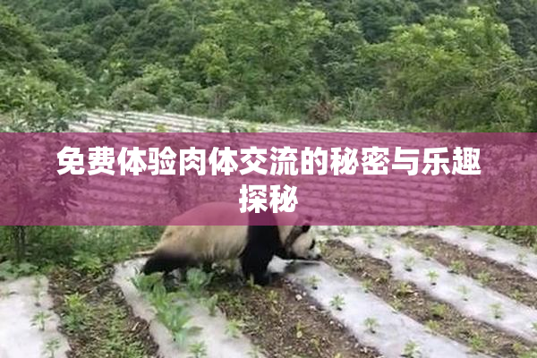 免费体验肉体交流的秘密与乐趣探秘