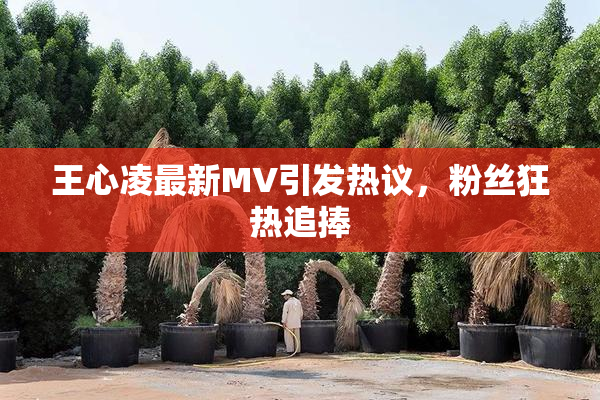 王心凌最新MV引发热议，粉丝狂热追捧