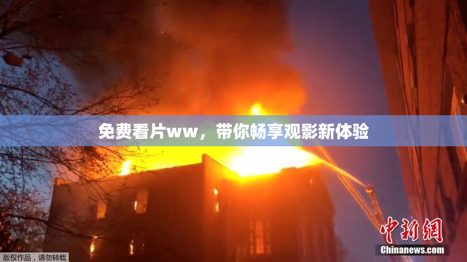 免费看片ww，带你畅享观影新体验