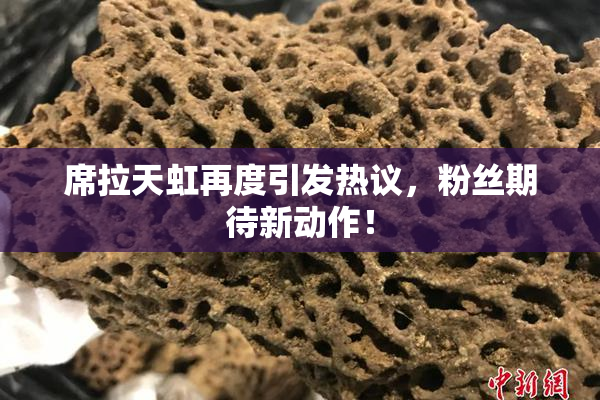 席拉天虹再度引发热议，粉丝期待新动作！