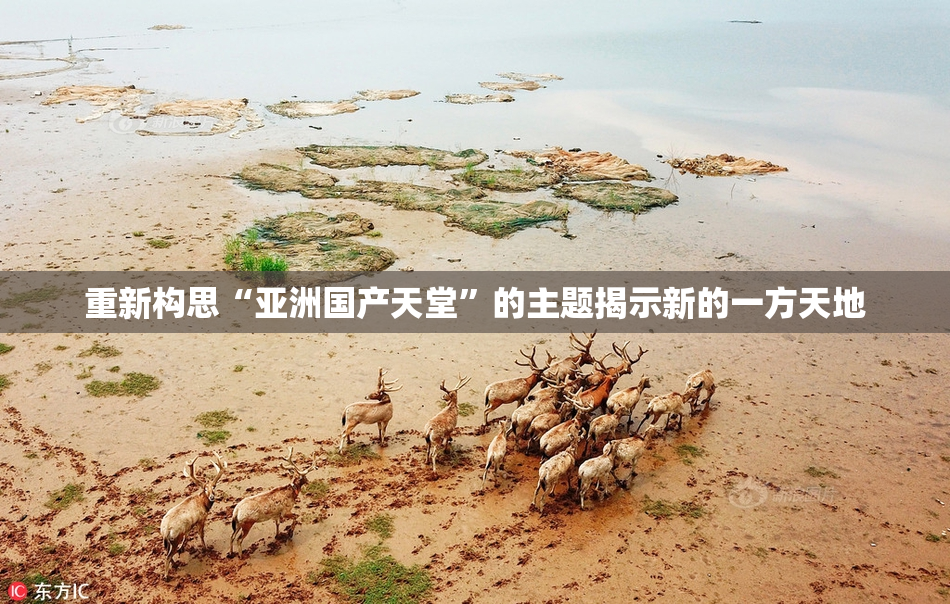 重新构思“亚洲国产天堂”的主题揭示新的一方天地
